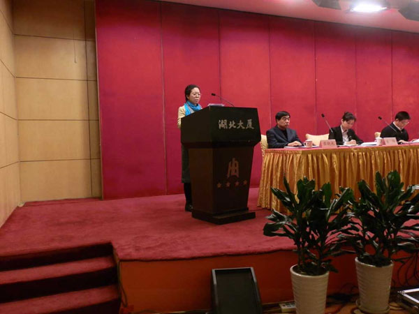 我公司代表發言